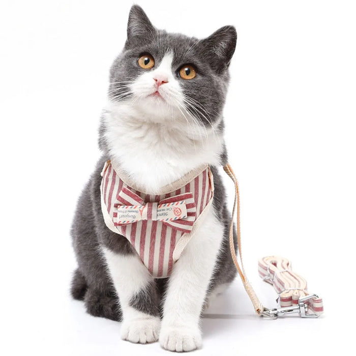 Chic Cat Harness and Leash Set