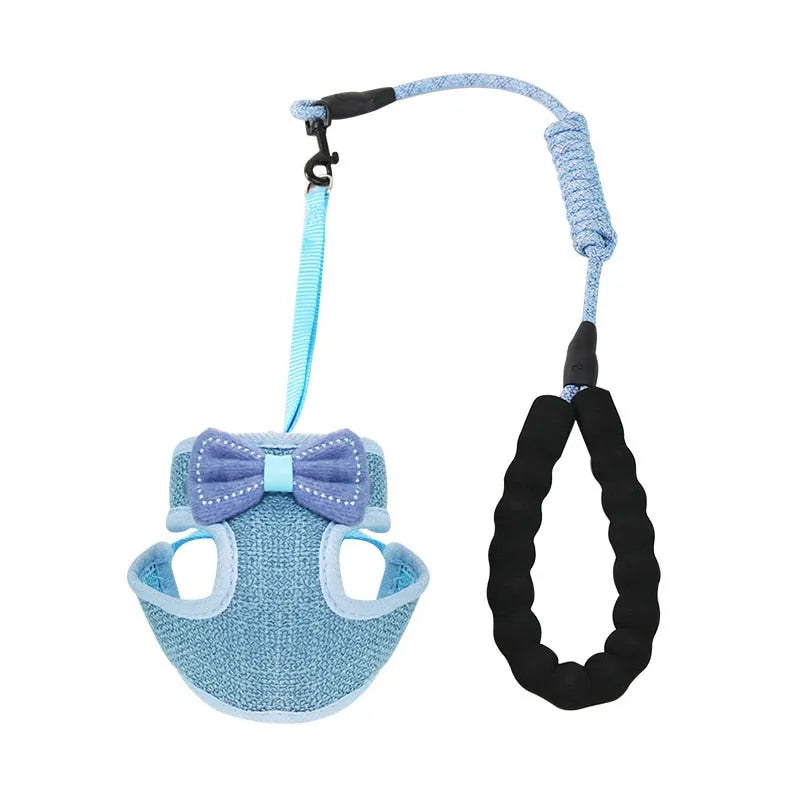 Luxus-Katzengeschirr mit Fliege in Blau | Chic et Chat