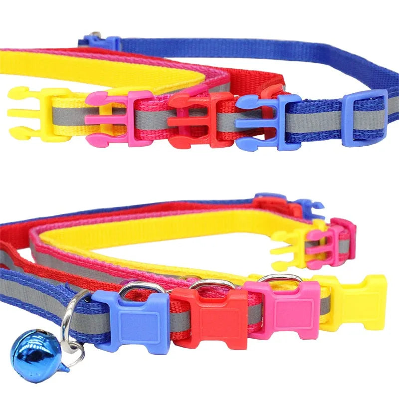 collier réfléchissant pour chat personnalisé
