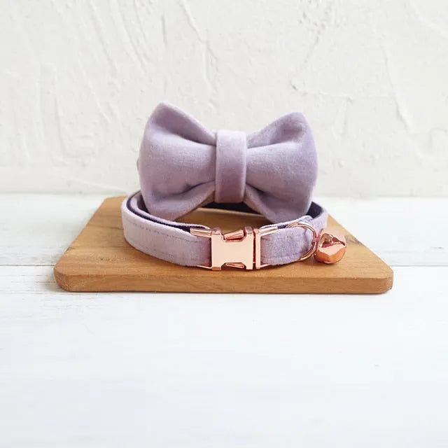 Collier personnalisé pour chat violet