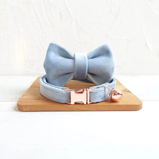 Collier personnalisé pour chat bleu ciel rose