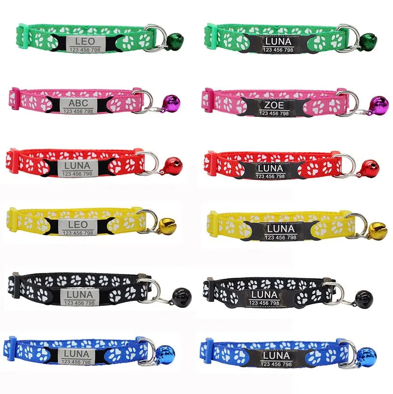 couleurs colliers pour chats personnalisable
