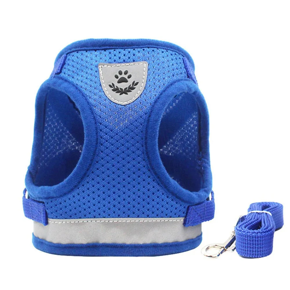 harnais pour chat pratique bleu