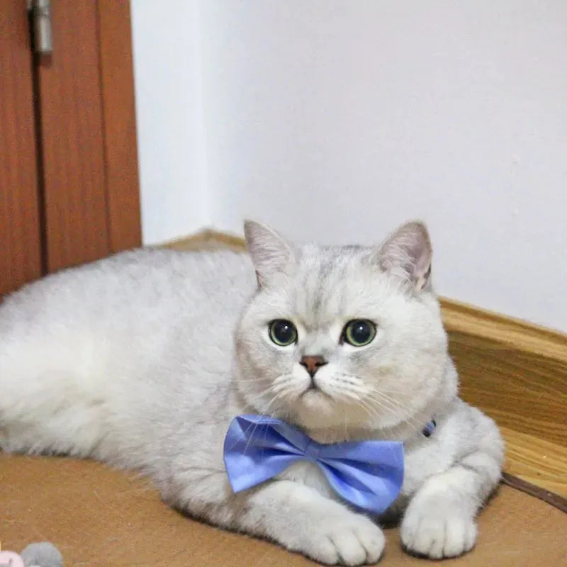 Gentleman Cat Bow Tie, Chic Accessory - Burgundy | Chic et Chat