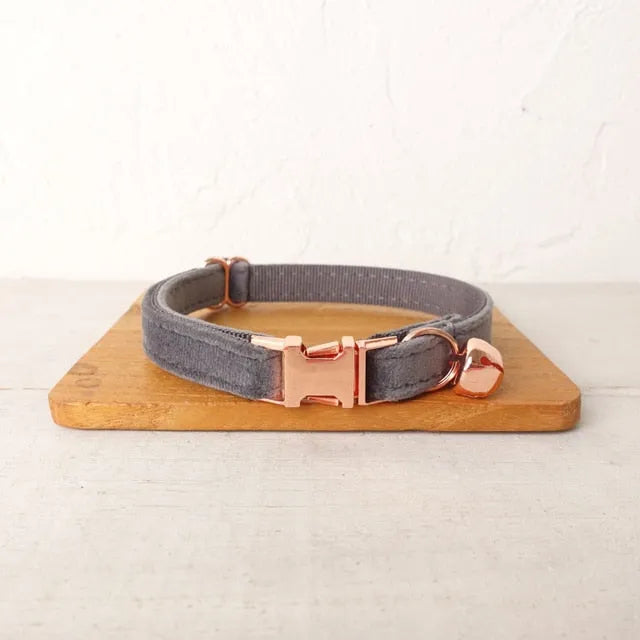 Collier personnalisé pour chat gris