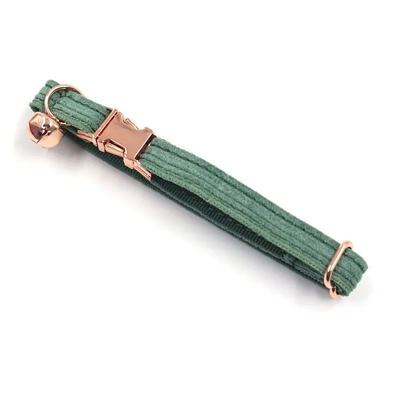 Collier personnalisé pour chat vert