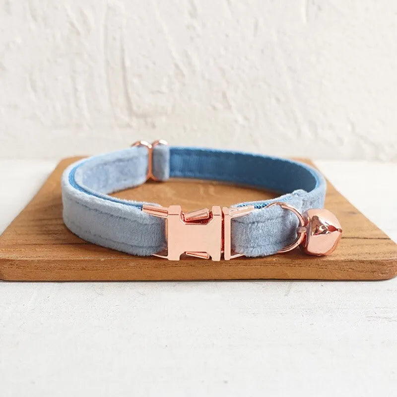 Collier personnalisé pour chat bleu clair