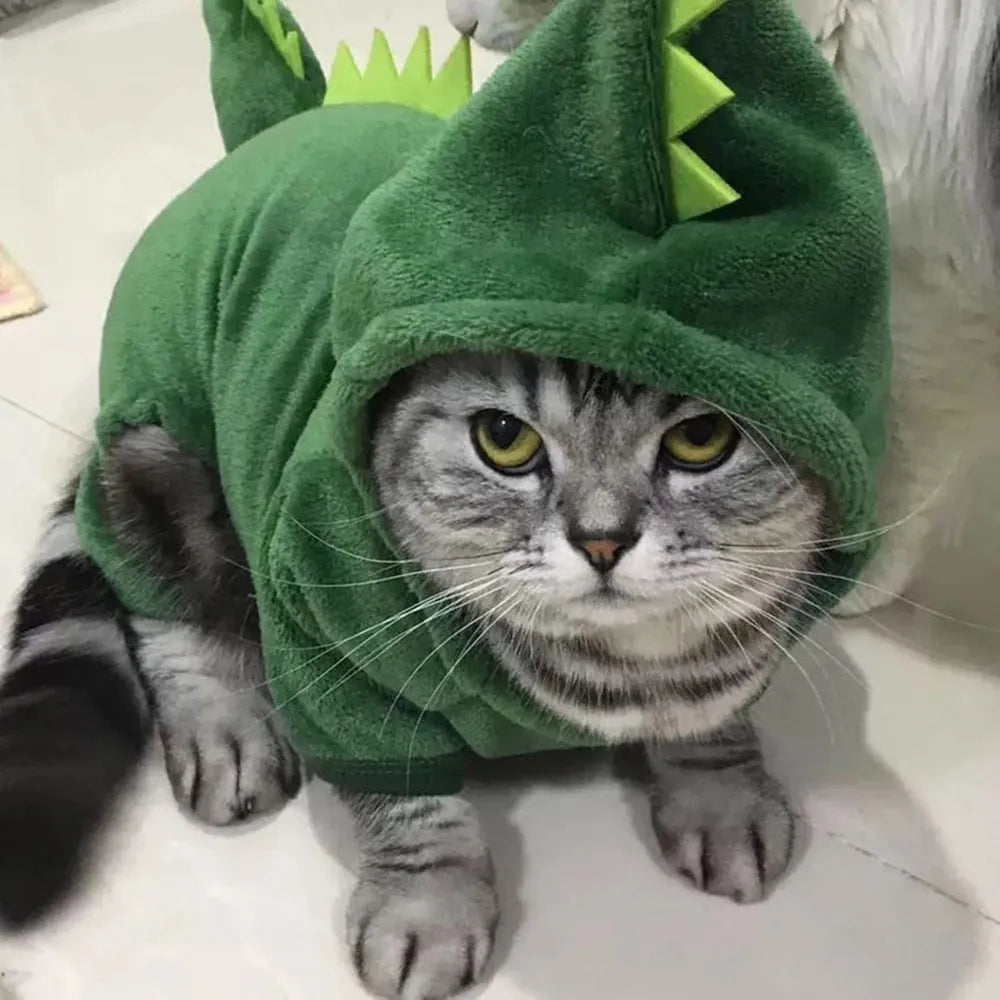 Déguisement pour chat de dinosaure