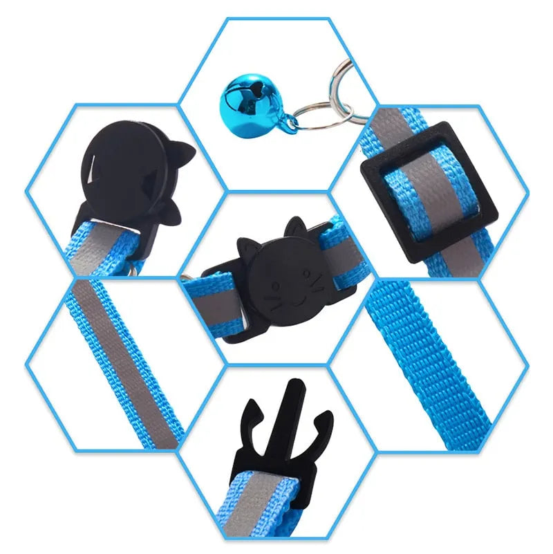 collier anti étranglement