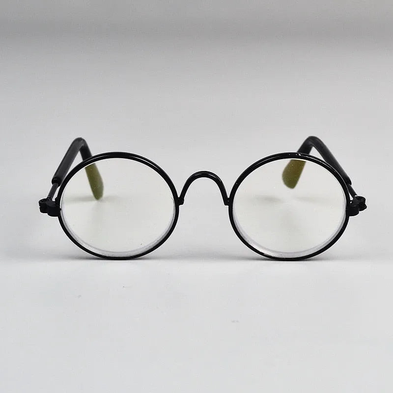 lunettes de soleil pour chats transparentes