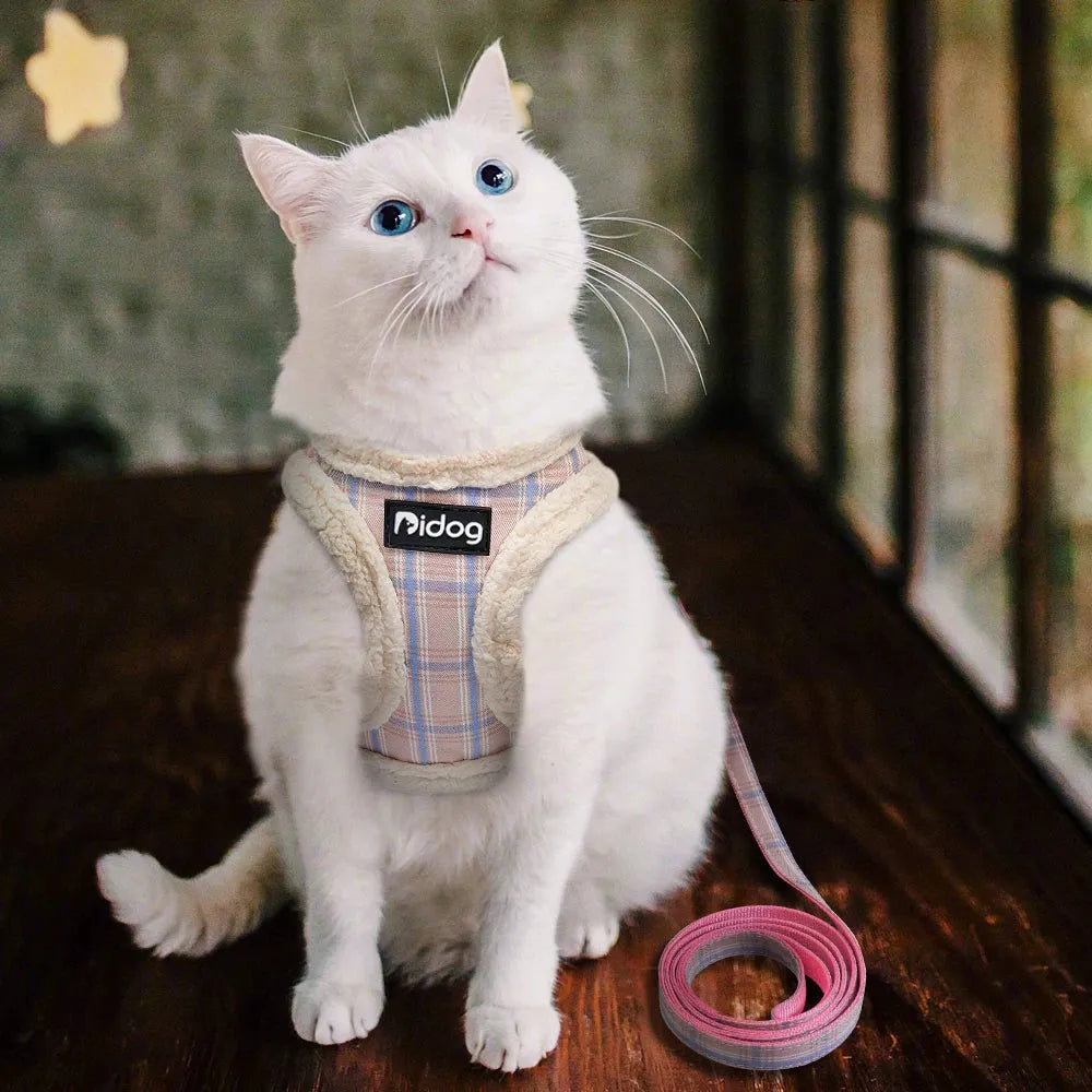 Harnais pour chats | Chic et Chat