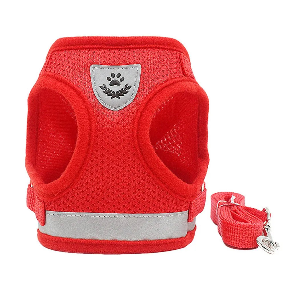 harnais pour chat pratique rouge