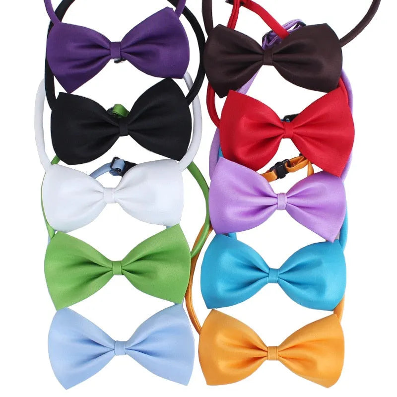 noeud papillon pour chats