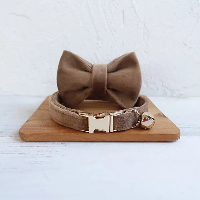 Collier personnalisé pour chat marron