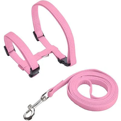 Pink cat leash | Chic et Chat