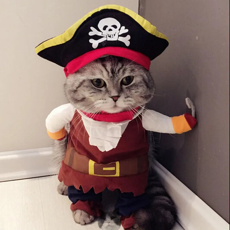 Pirate Cat Costume | Chic et Chat