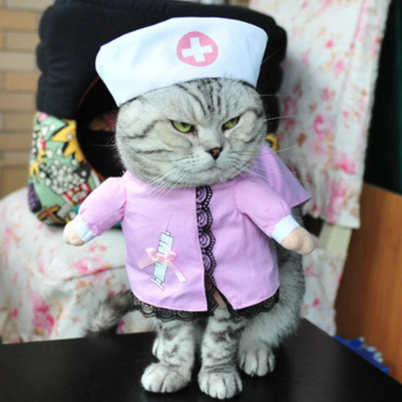 Nurse Cat Costume | Chic et Chat