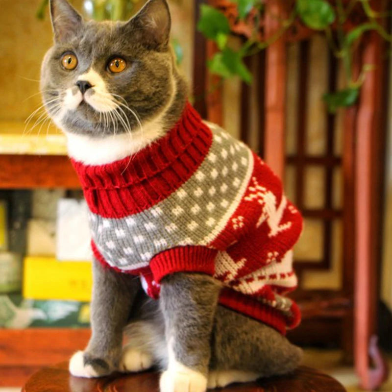 Warmer, bequemer Winterpullover für Katzen - Grauer Hase | Chic et Chat
