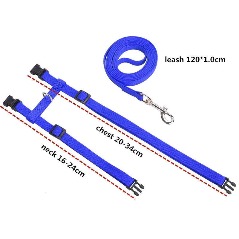 laisse pour chat bleu taille