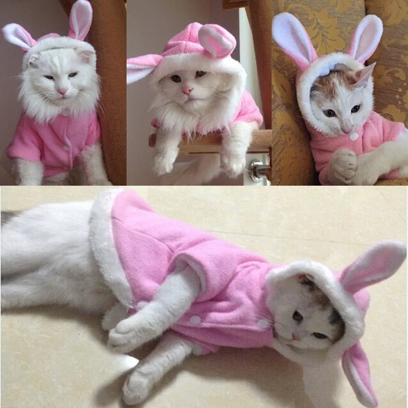 Pink bunny cat jacket | Chic et Chat