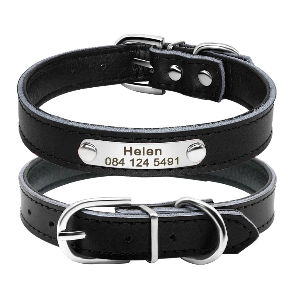 Collier personnalisé pour chat bling bling noir