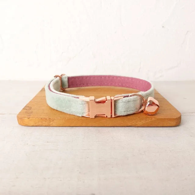 Collar personalizado para gato azul turquesa | Chic et Chat