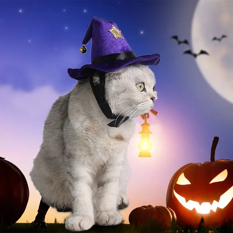 Zauberhut für Katzen, Halloween Kostüm für Katzen | Chic et Chat
