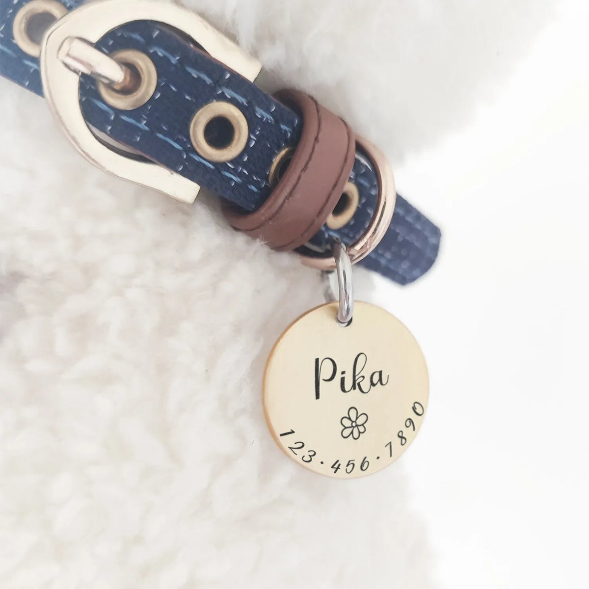 chapa personalizable para gato | Chic et Chat