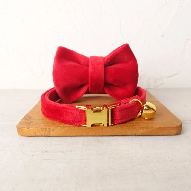 Collier personnalisé pour chat rouge