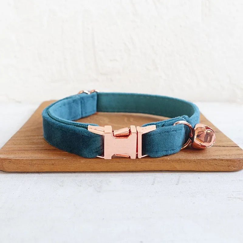 Collier personnalisé pour chat bleu rose