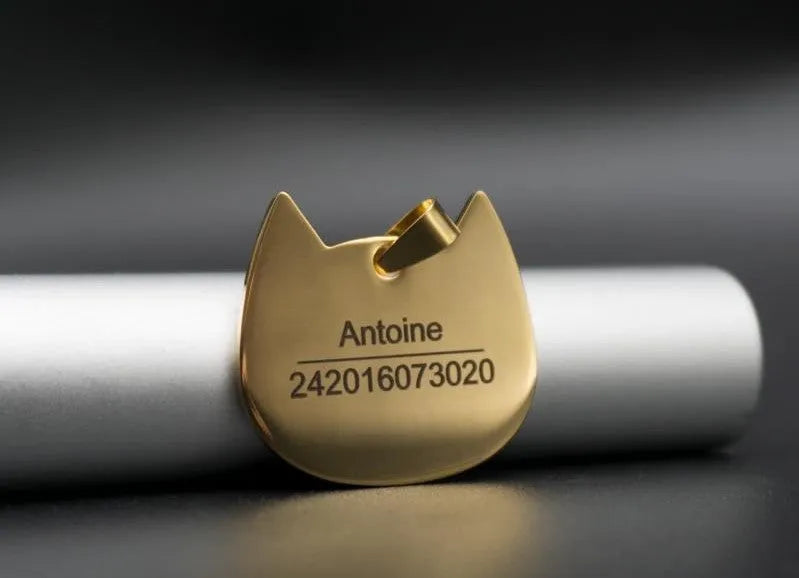 chapa dorada grabada personalizada para gato | Chic et Chat