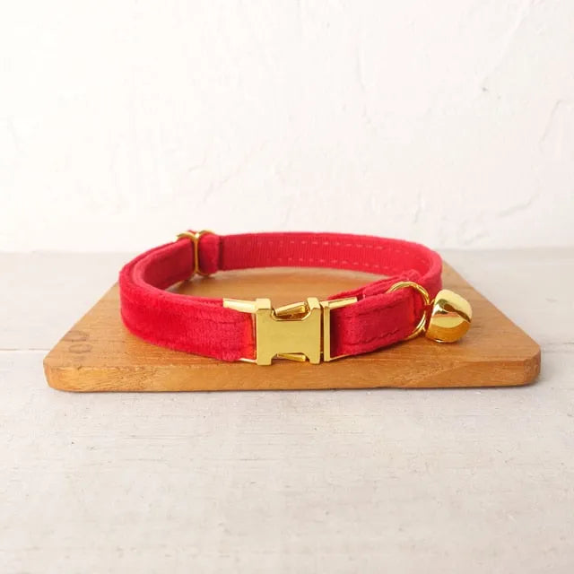 Collier personnalisé pour chat rouge or