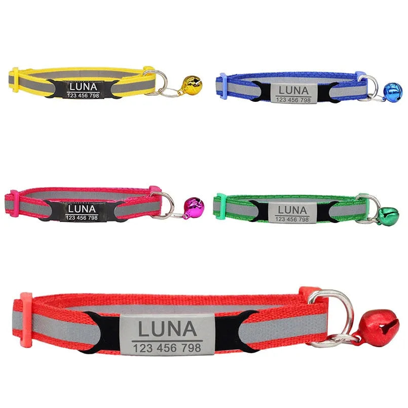 collier personnalisé réfléchissant chat