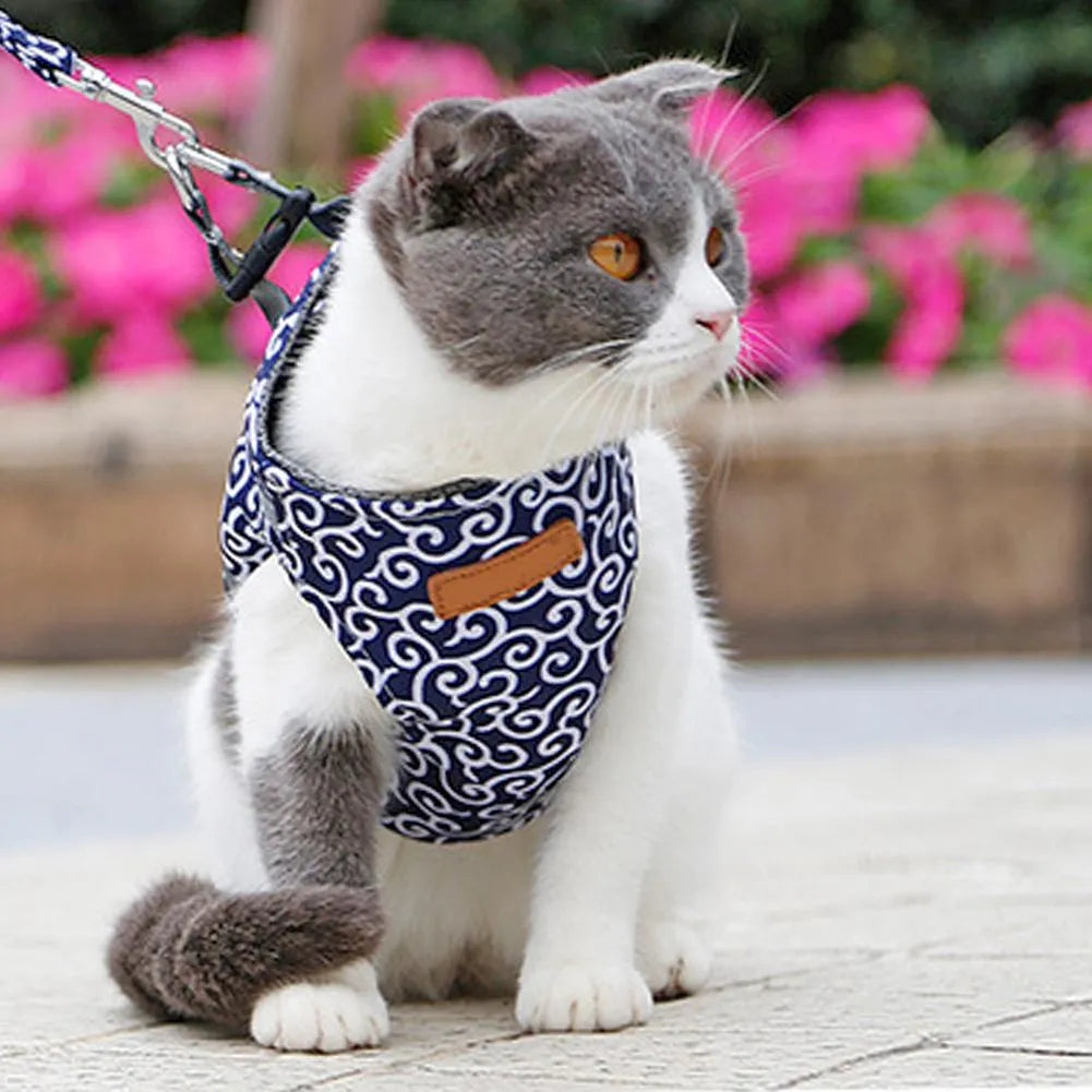 arnés de estilo japonés azul para gato | Chic et Chat
