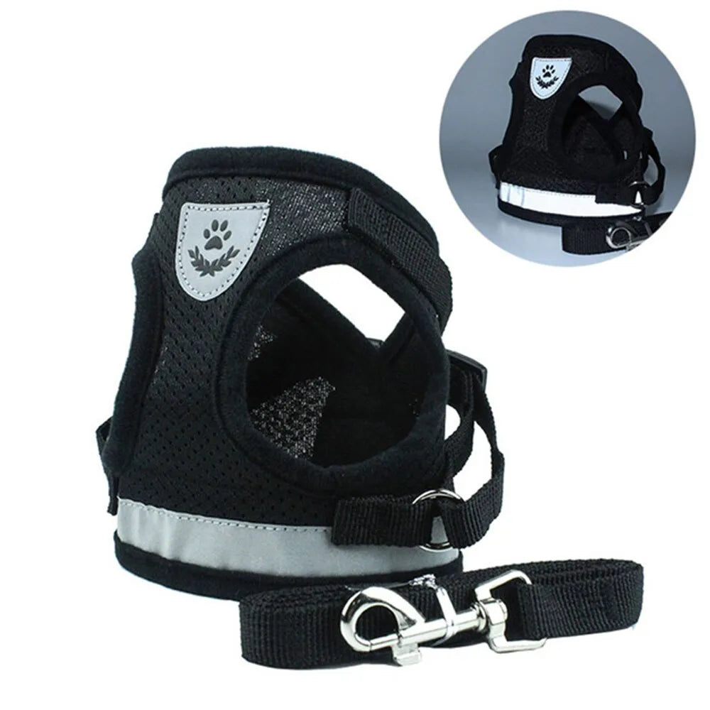 Practical black reflective cat harness | Chic et Chat