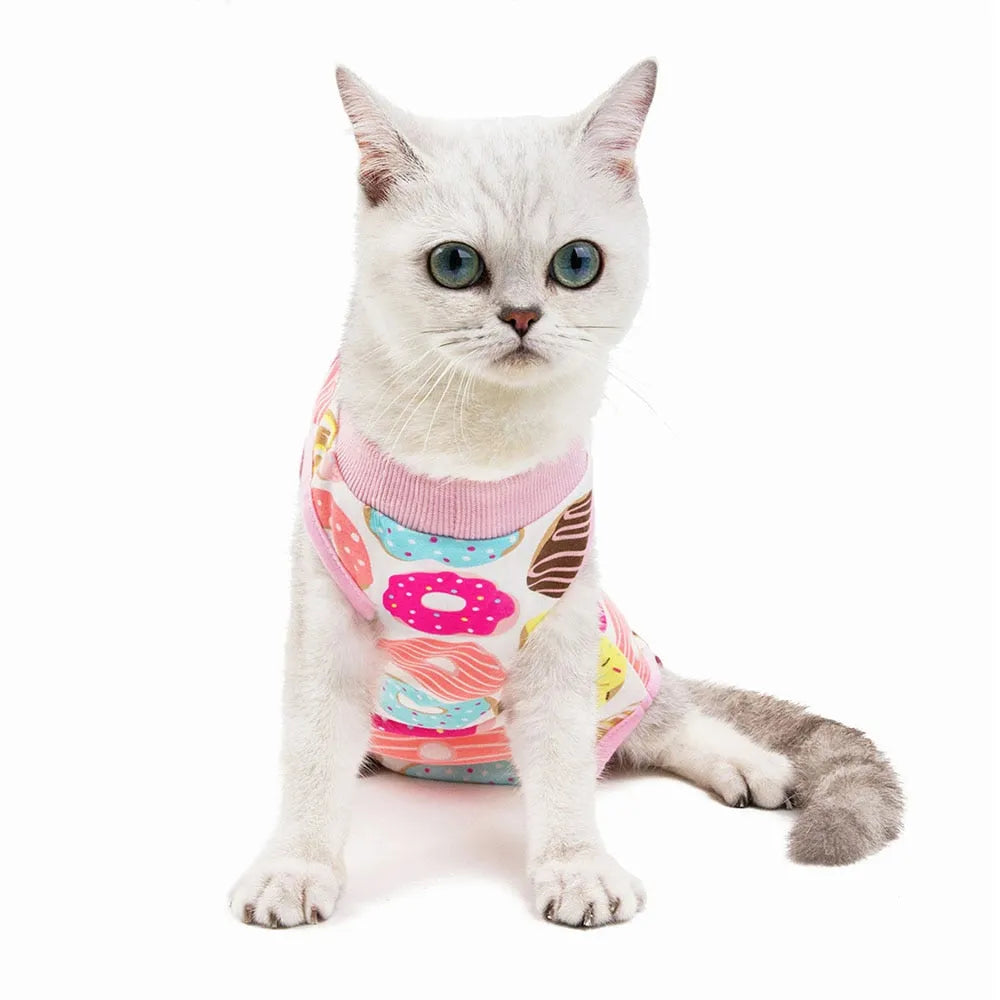 body postoperatorio gato multicolor | Chic et Chat
