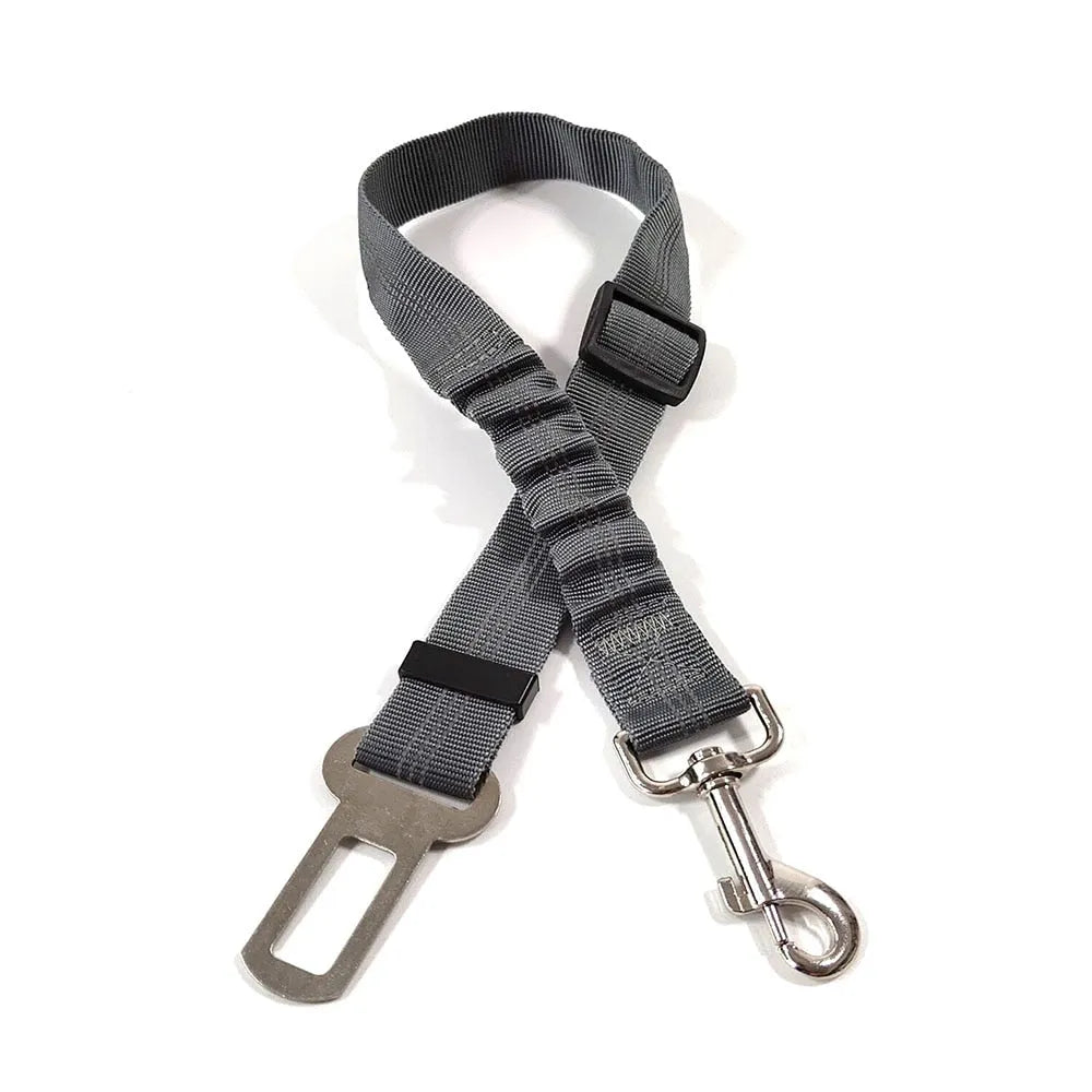 Gorgeous gray cat leash | Chic et Chat