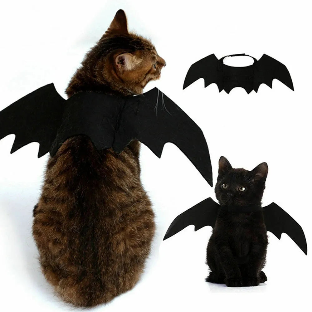 accessoire déguisement pour chat chauve souris
