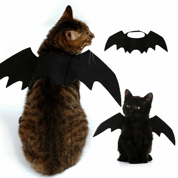 Déguisement de chauve souris Batcat