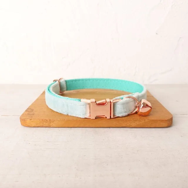 Collier personnalisé pour chat bleu ciel