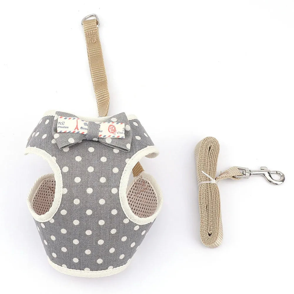 Harnais chic pour chats gris