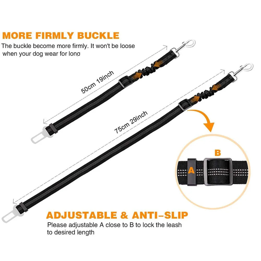 Affordable safety leash for cats | Chic et Chat