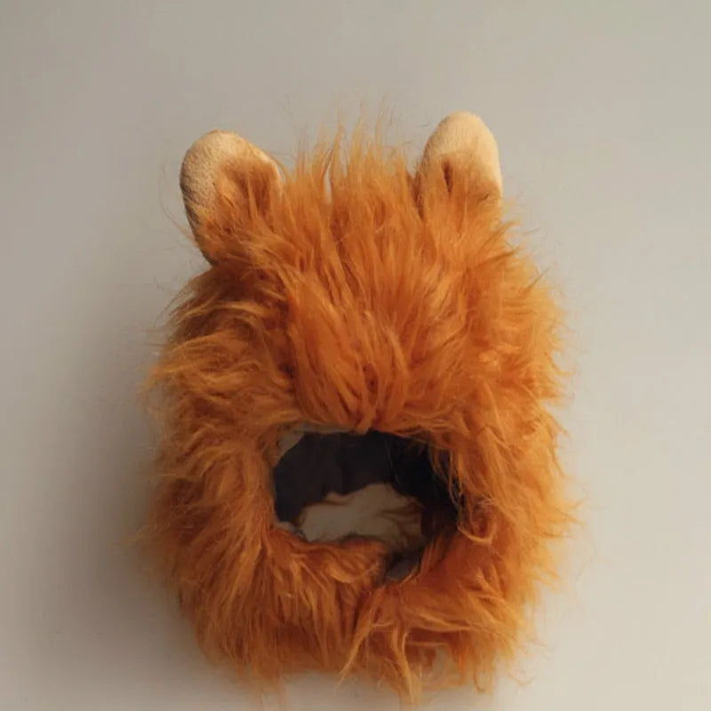 déguisement chat lion beige