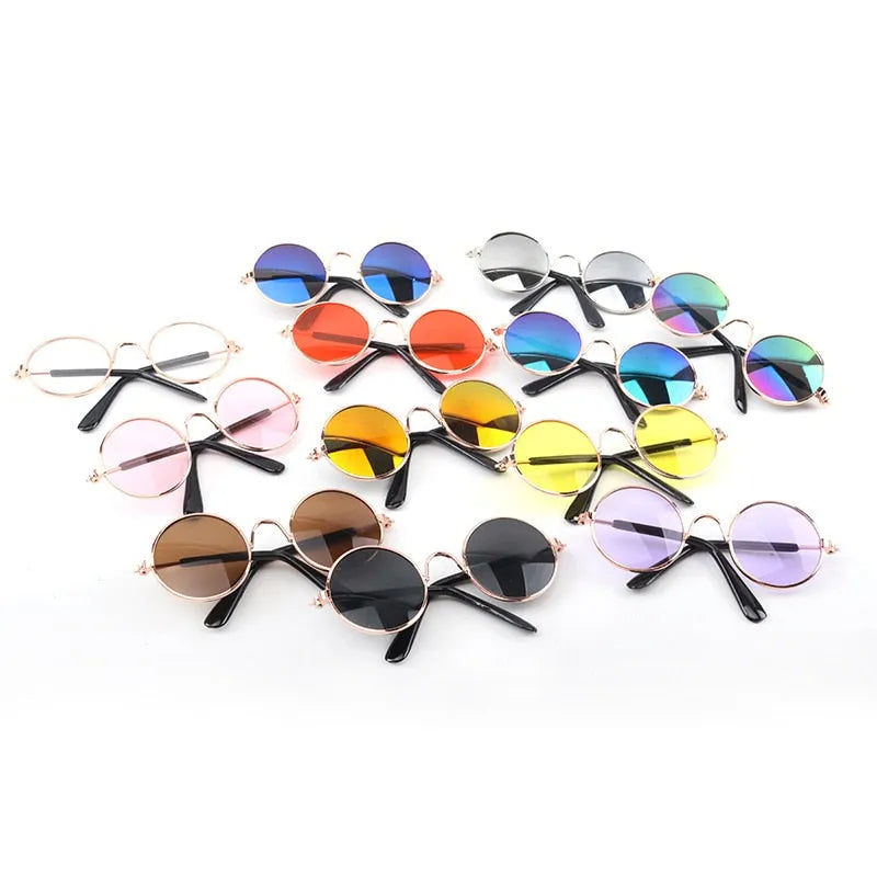 lunettes de soleil pour chats