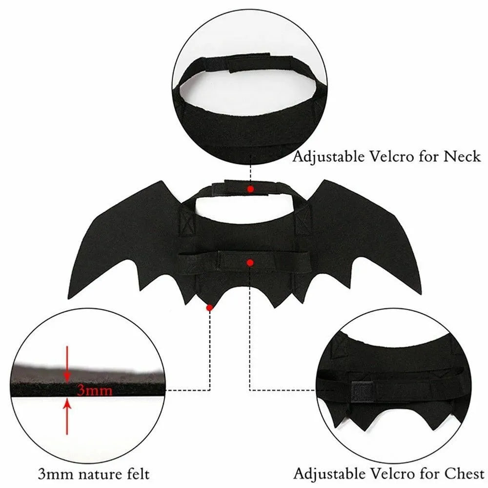 Bat wings accessory for cats and dogs | Chic et Chat