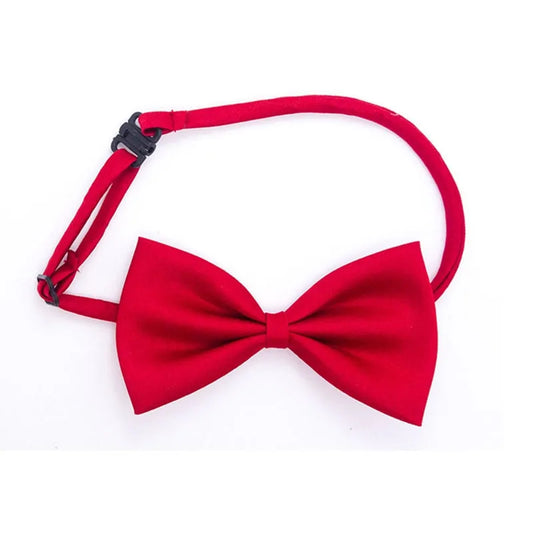 noeud papillon pour chats rouge
