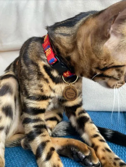 médaille à graver chat personnalisée
