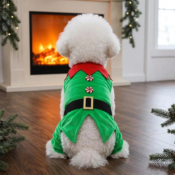Costume pour chat Lutin de Noël