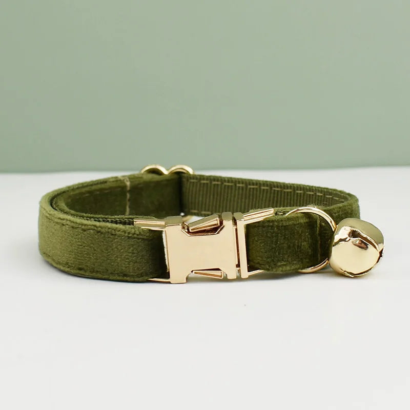 collier personnalisé pour chat kaki