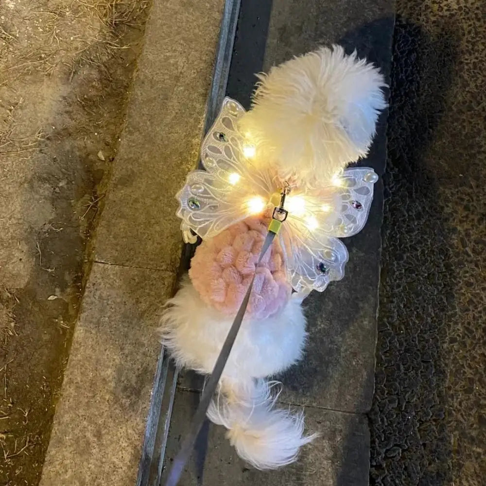 Petit animal portant des ailes de papillon lumineuses | Chic et Chat